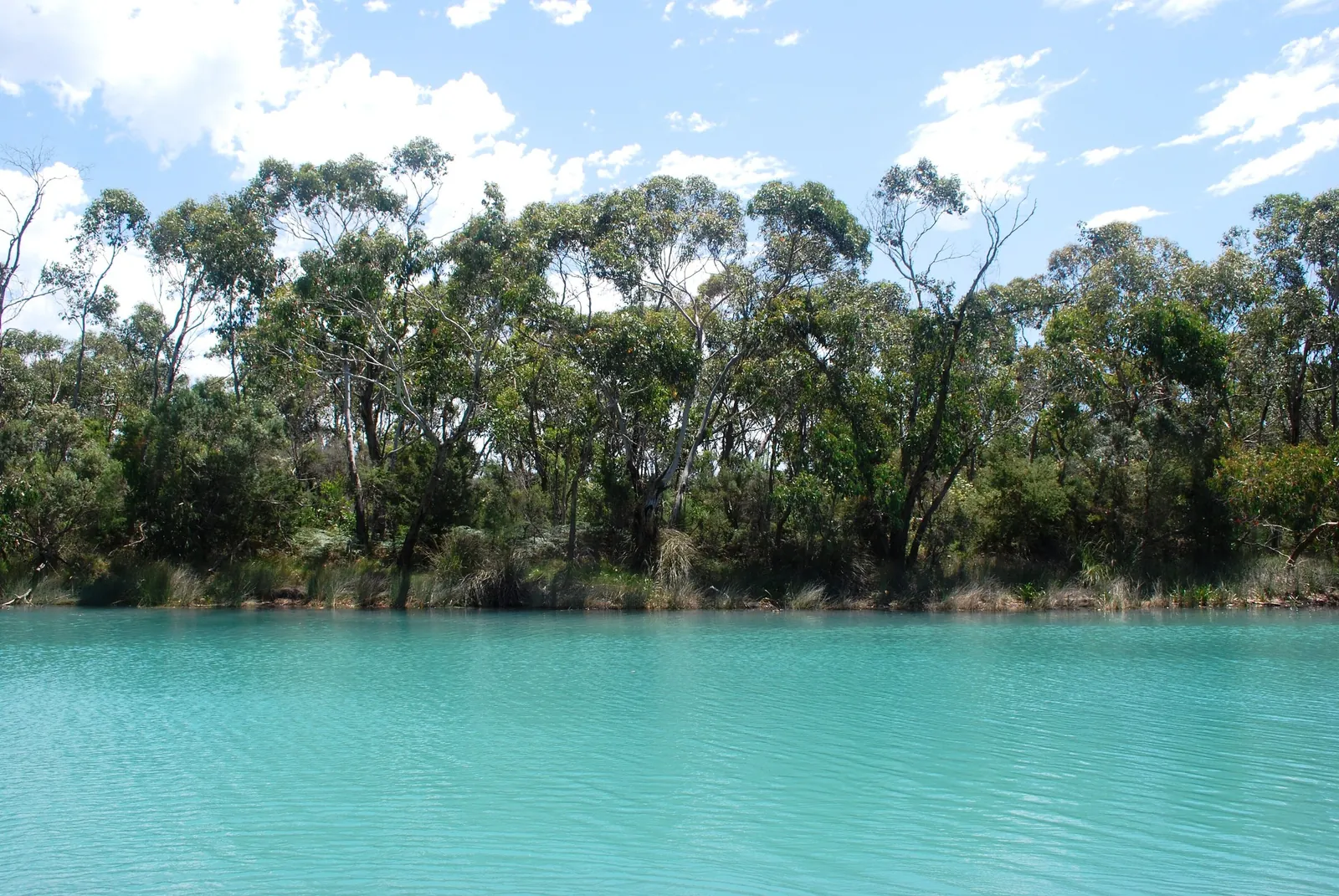 The turquoise Anglesea River lined with gums at Coogoorah Park, Anglesea