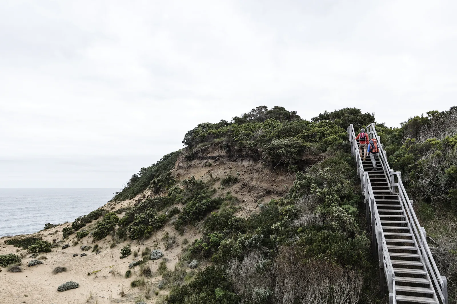 A narrow path with steps follows the coastal slope at Cape Otway