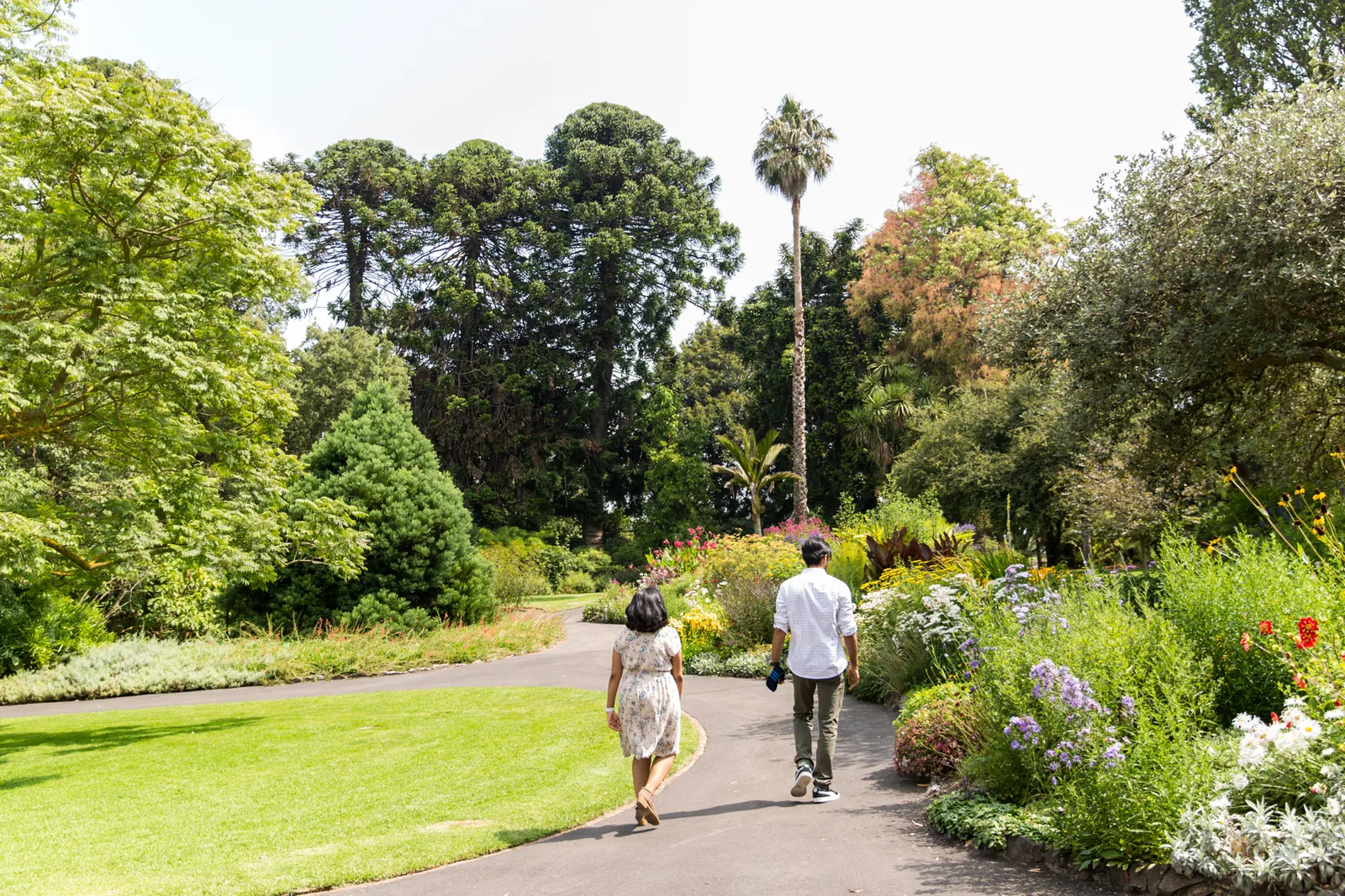 Visitors strolling along a garden path beneath trees at Geelong Botanic Gardens