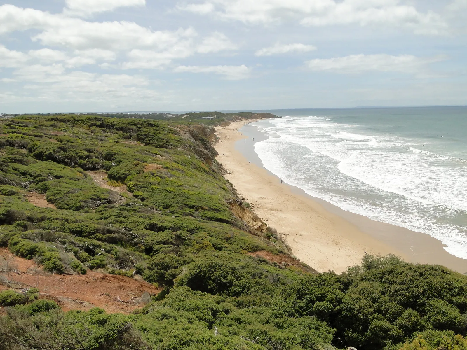 Jan Juc surf beach from the coastal heath on the clifftop, looking east towards Torquay