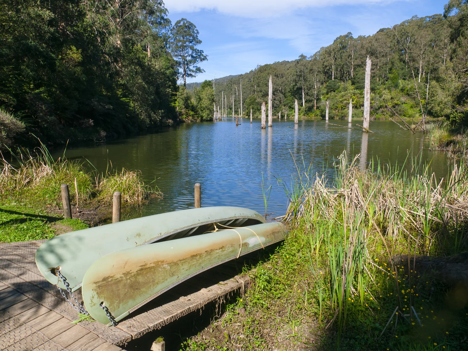 Two canoes on a wooden jetty at Lake Elizabeth, with dead tree trunks standing in the water