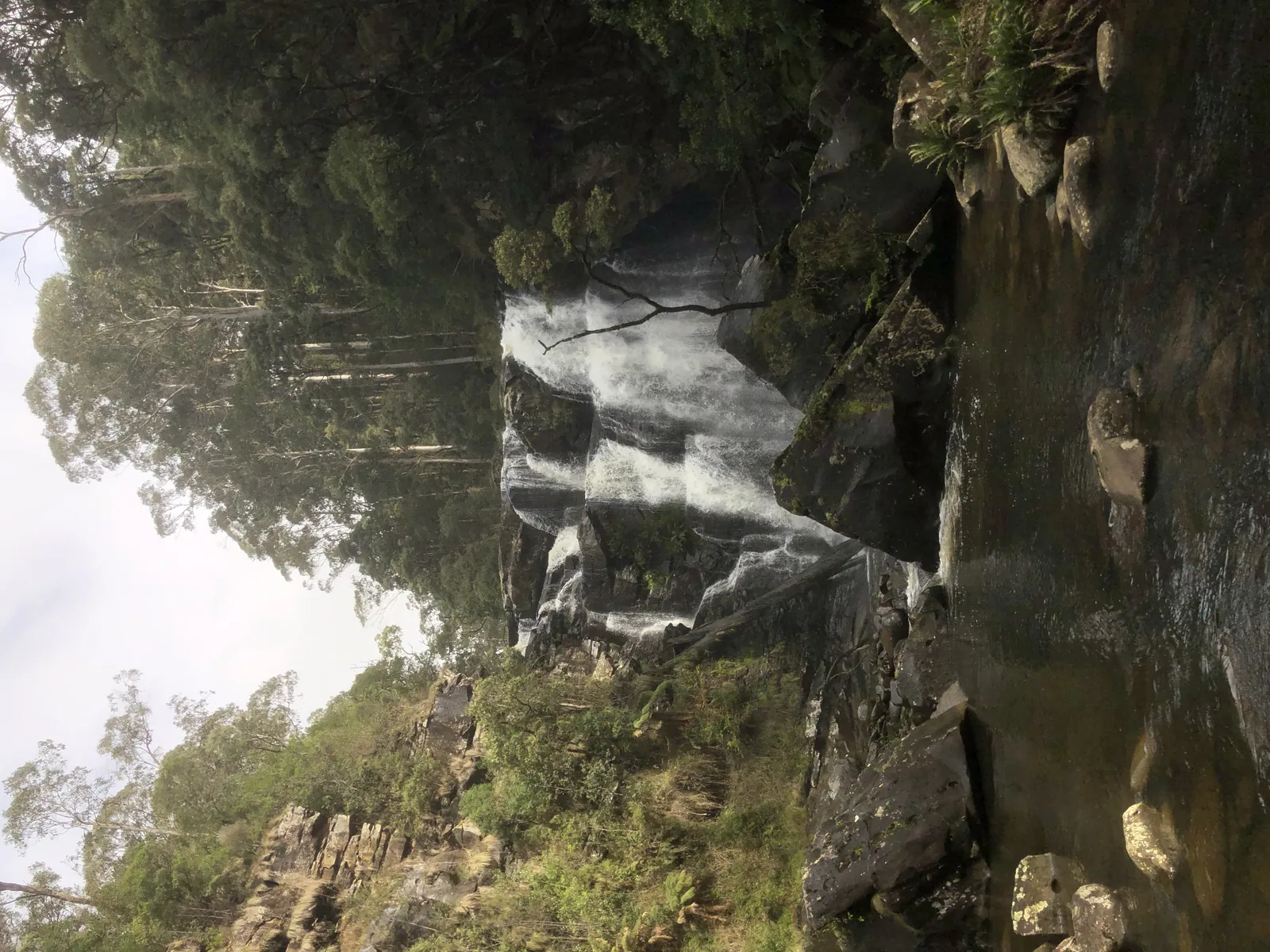 Stevensons Falls dropping over a dark rock face into a pool, with forest around it