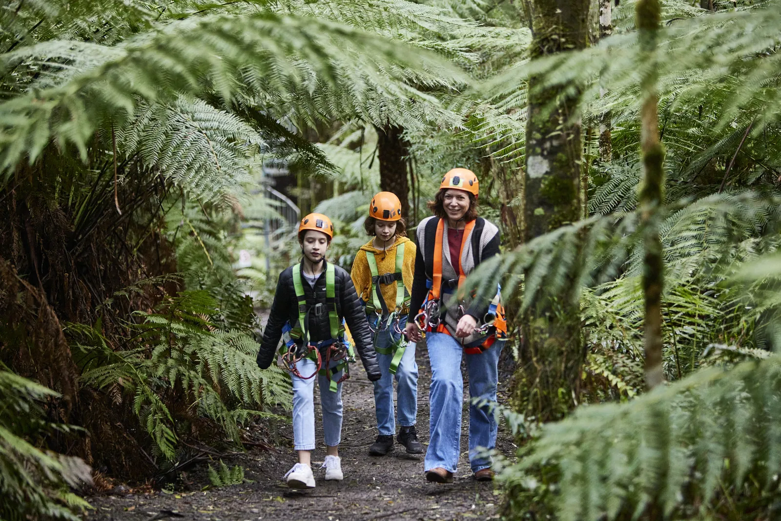 Visitors walking on a rainforest track beneath ferns and tall trees