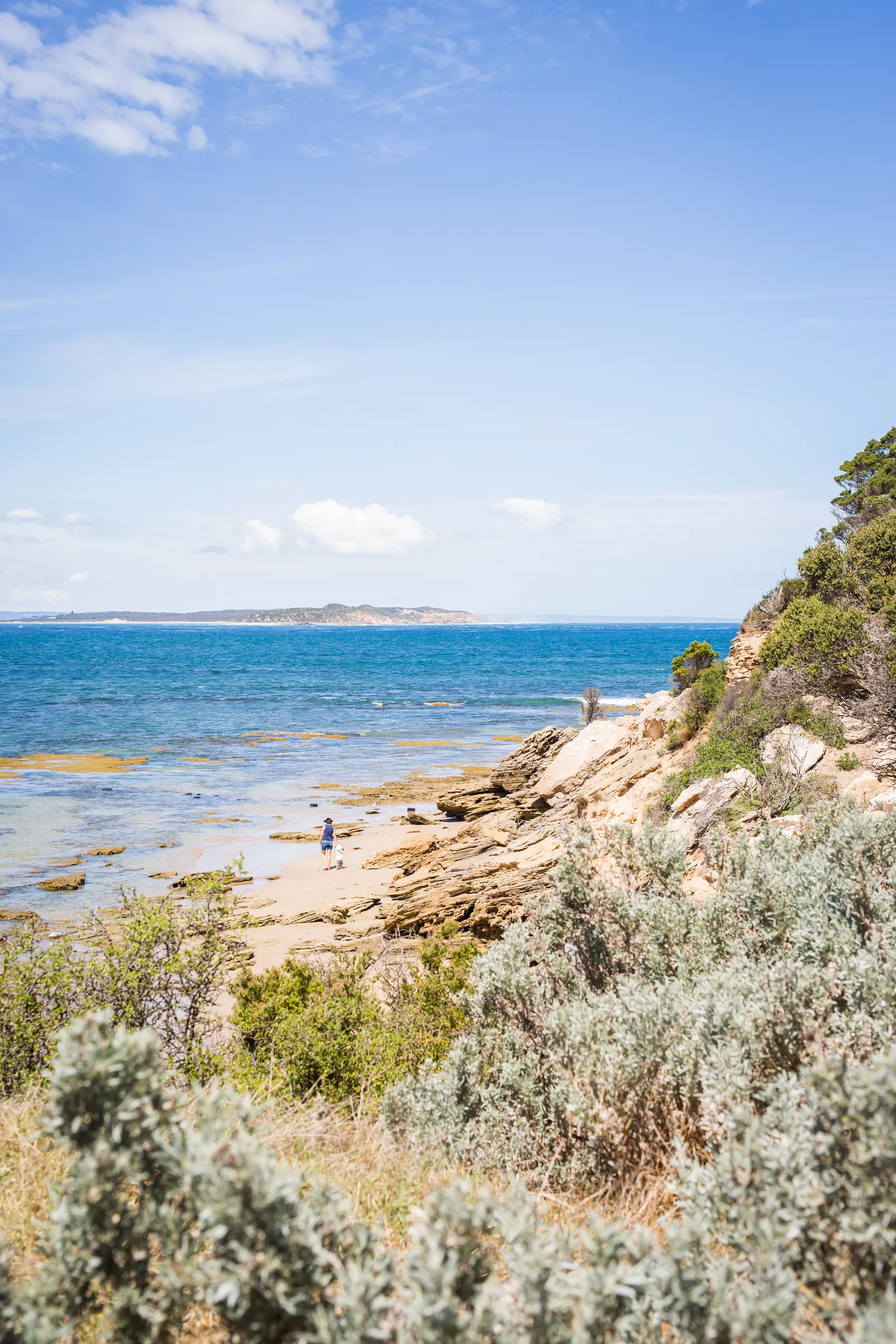 Rocky shoreline and low coastal vegetation at Point Lonsdale