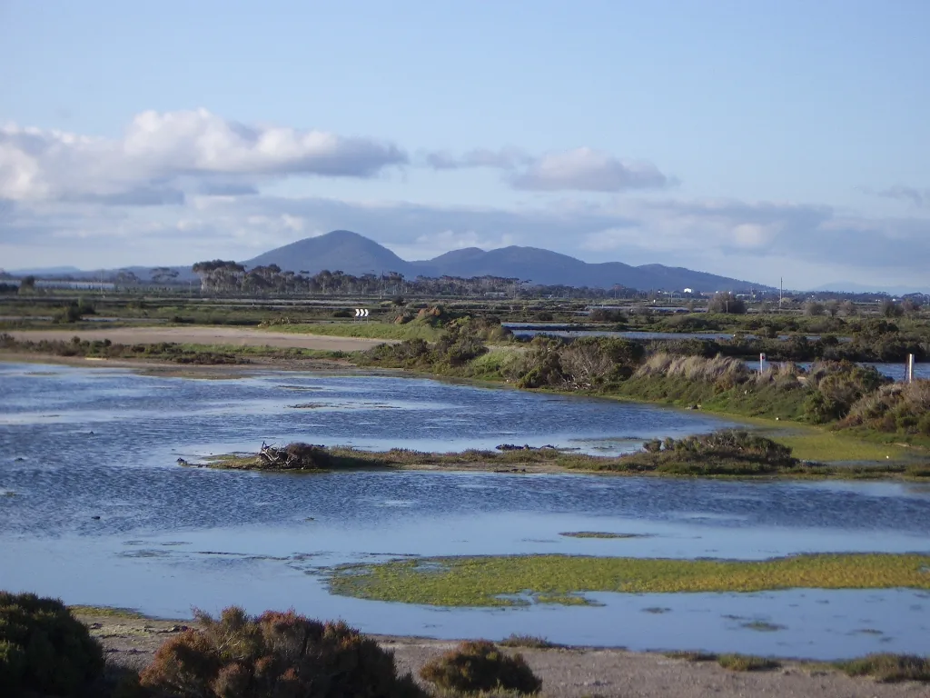 Wetland in the foreground and the granite peaks of the You Yangs in the distance, seen from Avalon Beach