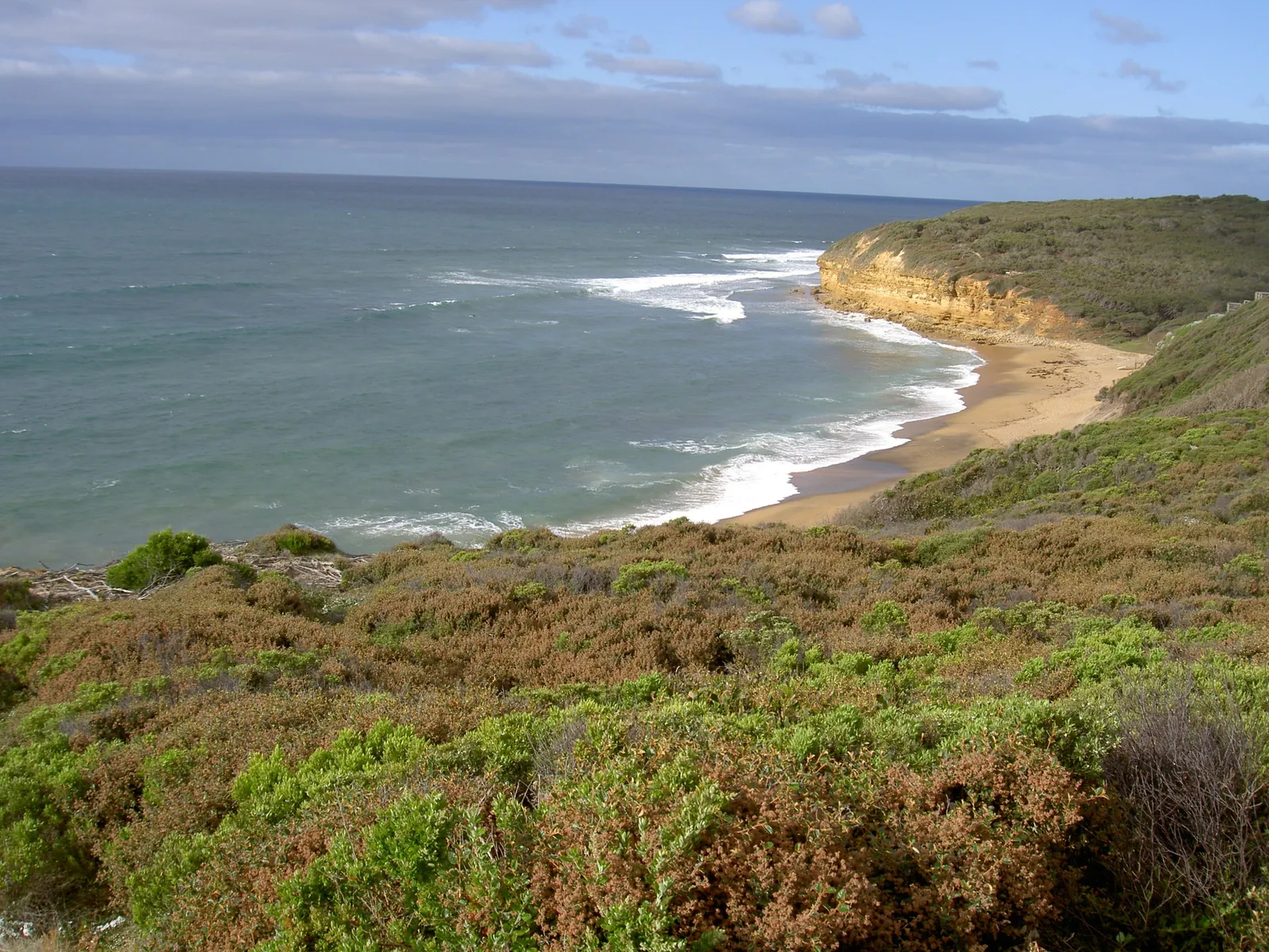 Coastal heath sloping down to a surf beach and sandstone cliffs near Point Addis