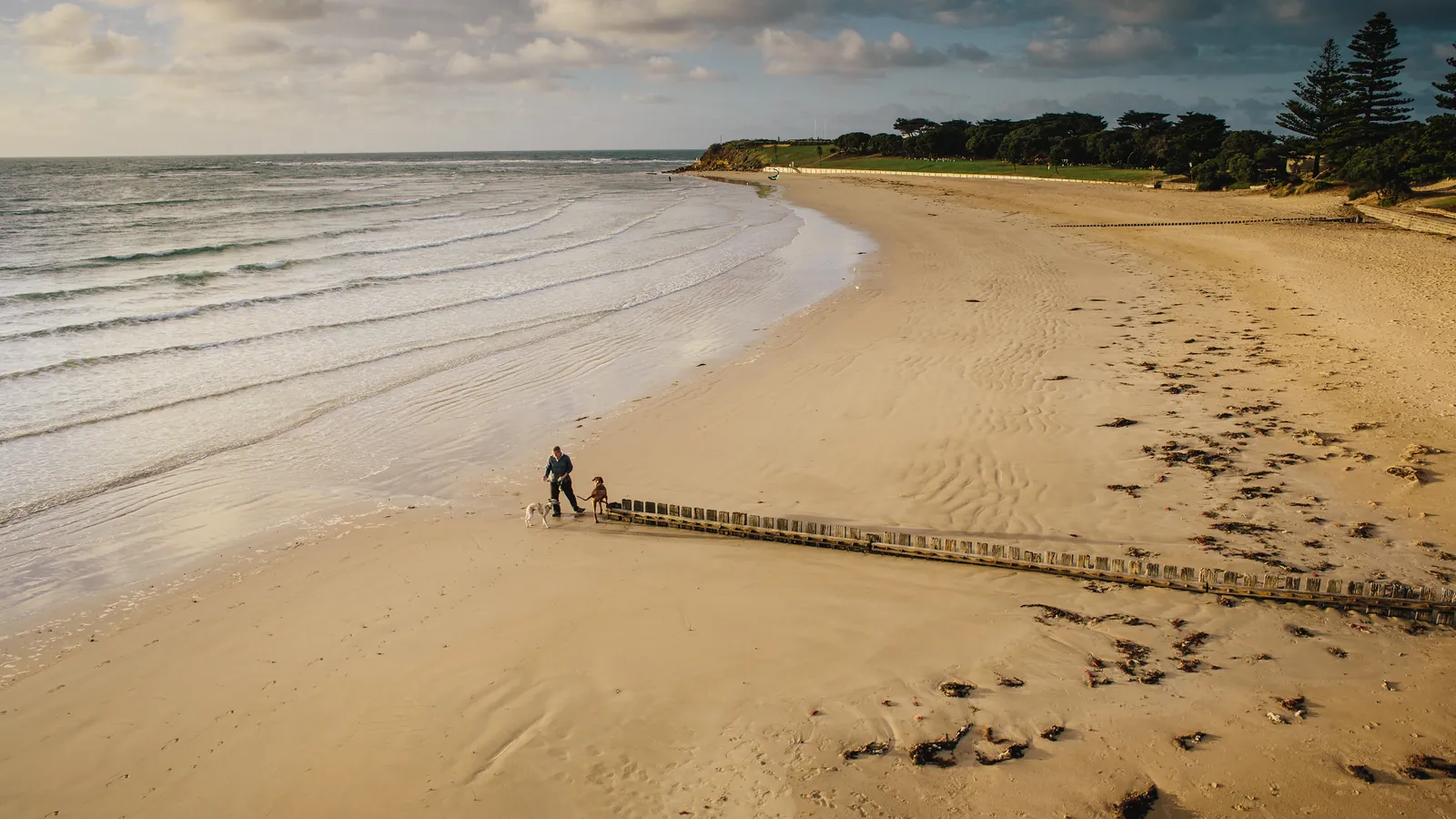 Torquay Beach stretching away at low tide