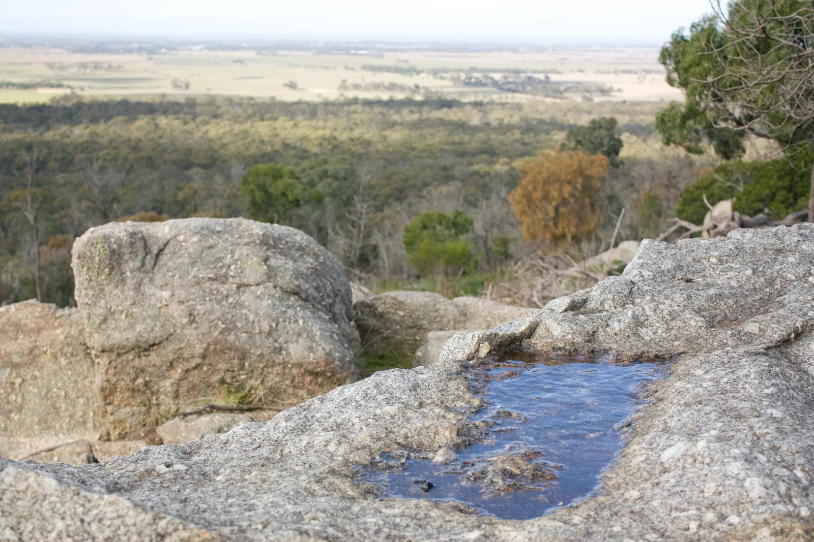 A small pool of rainwater in a hollow on the granite at the top of Flinders Peak, with bush and plains below